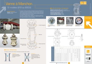 installations de transport pneumatique. Solution économique, simple à ins-
taller et nécessitant peu de maintenance, les vannes à manchon sont idéales
pour le passage de fluides tels que le liquide, la gaz ou la poudre et pour assu-
rer une étanchéité totale lors de sa fermeture.
acides, bases (phosphates, soude, ammoniaque...), liquides visqueux ou abra-
sifs, liquides alimentaires ou encore pulvérulents.
Fabrication alimentaire
Objectifs : obturation totale ou
régulation du débit
12 modèles (Ø13 au Ø200)
42
F Fermeture étanche de la
du produit
F Aiguillage pour transfert
pneumatique
F Consommation d'air parti-
culièrement basse
Avantages
F Remplacement rapide du
manchon et de la bague
Disponible en version
ATEX zone 22
EXISTE
SUR
MESURE
43www.palamaticprocess.fr/machines-industrielles/dosage/vannes/manchon
Vidéos & plans téléchargeables en ligne
Manchon
I
Matériau du corps de la vanne : alliage en aluminium
Matériaux des bouches de connexion : aluminium, acier car-
Pression de travail maximum
Pression de gonflage maximum : 6,0 bars
Pression différentielle maximum
Options
Vanne à Manchon
AIR
I
Position N°1 :
La vanne est en position
ouverte. Sa section intérieure
est identique à celle de la
tuyauterie.
Position N°2 :
-
manchon souple se déforme de
manière à fermer totalement le
passage.
Vis tête hexagonale
Manchon
Embout aluminium
acier ou inox
Corps aluminium
ØB
ØA
ØA
ØA
J
D
N
NL
G
G
F
E
C
M
M
H
Modèles A C
D
E F G H L M N Kg
Diam. No.
- - - - - - -
20 - - - - - - - 20
- - - - - - - 22 0,70
32 - - - - - - 70 -
- 99 - 202 2,20
- -
- - 230
80 200 270 - -
220 - - 7,60
- - - -
396 - - - -
200 - - - - 22,80
Dimensions en mm
VanneàManchon
 