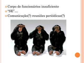  Corpode funcionários insuficiente
 “SE”…

 Comunicação(?) reuniões periódicas(?)
 