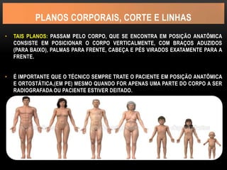 PLANOS CORPORAIS, CORTE E LINHAS
• TAIS PLANOS: PASSAM PELO CORPO, QUE SE ENCONTRA EM POSIÇÃO ANATÔMICA
CONSISTE EM POSICIONAR O CORPO VERTICALMENTE, COM BRAÇOS ADUZIDOS
(PARA BAIXO), PALMAS PARA FRENTE, CABEÇA E PÉS VIRADOS EXATAMENTE PARA A
FRENTE.
• É IMPORTANTE QUE O TÉCNICO SEMPRE TRATE O PACIENTE EM POSIÇÃO ANATÔMICA
E ORTOSTÁTICA,(EM PE) MESMO QUANDO FOR APENAS UMA PARTE DO CORPO A SER
RADIOGRAFADA OU PACIENTE ESTIVER DEITADO.
 