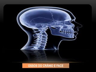 OSSOS DO CRÂNIO E FACE
 