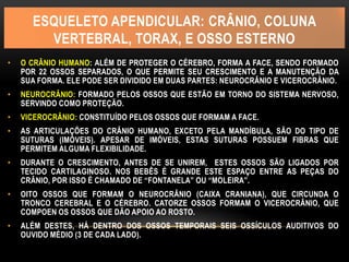 ESQUELETO APENDICULAR: CRÂNIO, COLUNA
VERTEBRAL, TORAX, E OSSO ESTERNO
• O CRÂNIO HUMANO: ALÉM DE PROTEGER O CÉREBRO, FORMA A FACE, SENDO FORMADO
POR 22 OSSOS SEPARADOS, O QUE PERMITE SEU CRESCIMENTO E A MANUTENÇÃO DA
SUA FORMA. ELE PODE SER DIVIDIDO EM DUAS PARTES: NEUROCRÂNIO E VICEROCRÂNIO.
• NEUROCRÂNIO: FORMADO PELOS OSSOS QUE ESTÃO EM TORNO DO SISTEMA NERVOSO,
SERVINDO COMO PROTEÇÃO.
• VICEROCRÂNIO: CONSTITUÍDO PELOS OSSOS QUE FORMAM A FACE.
• AS ARTICULAÇÕES DO CRÂNIO HUMANO, EXCETO PELA MANDÍBULA, SÃO DO TIPO DE
SUTURAS (IMÓVEIS). APESAR DE IMÓVEIS, ESTAS SUTURAS POSSUEM FIBRAS QUE
PERMITEM ALGUMA FLEXIBILIDADE.
• DURANTE O CRESCIMENTO, ANTES DE SE UNIREM, ESTES OSSOS SÃO LIGADOS POR
TECIDO CARTILAGINOSO. NOS BEBÊS É GRANDE ESTE ESPAÇO ENTRE AS PEÇAS DO
CRÂNIO, POR ISSO É CHAMADO DE “FONTANELA” OU “MOLEIRA”.
• OITO OSSOS QUE FORMAM O NEUROCRÂNIO (CAIXA CRANIANA), QUE CIRCUNDA O
TRONCO CEREBRAL E O CÉREBRO. CATORZE OSSOS FORMAM O VICEROCRÂNIO, QUE
COMPOEN OS OSSOS QUE DÃO APOIO AO ROSTO.
• ALÉM DESTES, HÁ DENTRO DOS OSSOS TEMPORAIS SEIS OSSÍCULOS AUDITIVOS DO
OUVIDO MÉDIO (3 DE CADA LADO).
 