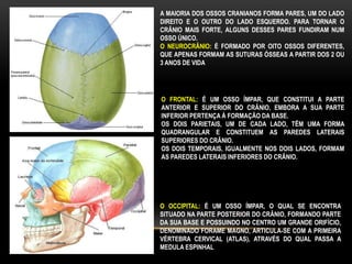 A MAIORIA DOS OSSOS CRANIANOS FORMA PARES, UM DO LADO
DIREITO E O OUTRO DO LADO ESQUERDO. PARA TORNAR O
CRÂNIO MAIS FORTE, ALGUNS DESSES PARES FUNDIRAM NUM
OSSO ÚNICO.
O NEUROCRÂNIO: É FORMADO POR OITO OSSOS DIFERENTES,
QUE APENAS FORMAM AS SUTURAS ÓSSEAS A PARTIR DOS 2 OU
3 ANOS DE VIDA
O FRONTAL: É UM OSSO ÍMPAR, QUE CONSTITUI A PARTE
ANTERIOR E SUPERIOR DO CRÂNIO, EMBORA A SUA PARTE
INFERIOR PERTENÇA À FORMAÇÃO DA BASE.
OS DOIS PARIETAIS, UM DE CADA LADO, TÊM UMA FORMA
QUADRANGULAR E CONSTITUEM AS PAREDES LATERAIS
SUPERIORES DO CRÂNIO.
OS DOIS TEMPORAIS, IGUALMENTE NOS DOIS LADOS, FORMAM
AS PAREDES LATERAIS INFERIORES DO CRÂNIO.
O OCCIPITAL: É UM OSSO ÍMPAR, O QUAL SE ENCONTRA
SITUADO NA PARTE POSTERIOR DO CRÂNIO, FORMANDO PARTE
DA SUA BASE E POSSUINDO NO CENTRO UM GRANDE ORIFÍCIO,
DENOMINADO FORAME MAGNO, ARTICULA-SE COM A PRIMEIRA
VÉRTEBRA CERVICAL (ATLAS), ATRAVÉS DO QUAL PASSA A
MEDULA ESPINHAL
 