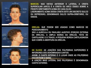 OS OLHOS: AS JUNÇÕES DAS PÁLPEBRAS SUPERIORES E
INFERIORES SÃO DENOMINADAS CANTOS.
ASSIM, O CANTO INTERNO É O LUGAR ONDE AS PÁLPEBRAS
ENCONTRAM O NARIZ.
A JUNÇÃO MAIS LATERAL DAS PÁLPEBRAS É DENOMINADA
CANTO EXTERNO.
ORELHA: QUE PODEM SER USADAS COMO MARCOS DE
POSICIONAMENTO
SÃO A AURÍCULA OU PAVILHÃO AUDITIVO (PORÇÃO EXTERNA
DA ORELHA), A AMPLA BORDA DA ORELHA, FEITA DE
CARTILAGEM, E O TRAGO, A PEQUENA BORDA CARTILAGINOSA
QUE COBRE A ABERTURA DA ORELHA.
MARCOS: NAS VISTAS ANTERIOR E LATERAL A CRISTA
SUPERCILIAR (ARCO) É A CRISTA OU ARCO ÓSSEO SOBRE A
FRONTE DIRETAMENTE ACIMA DE CADA OLHO.
LIGEIRAMENTE ACIMA DESSA CRISTA ESTÁ UM DISCRETO SULCO
OU DEPRESSÃO, DENOMINADO SULCO SUPRA-ORBITÁRIO, OU
OSSOS.
 