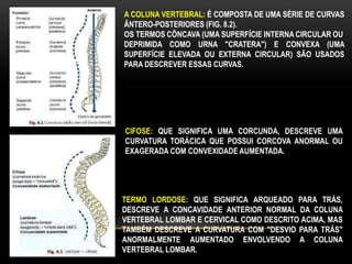 A COLUNA VERTEBRAL: É COMPOSTA DE UMA SÉRIE DE CURVAS
ÂNTERO-POSTERIORES (FIG. 8.2).
OS TERMOS CÔNCAVA (UMA SUPERFÍCIE INTERNA CIRCULAR OU
DEPRIMIDA COMO URNA "CRATERA") E CONVEXA (UMA
SUPERFÍCIE ELEVADA OU EXTERNA CIRCULAR) SÃO USADOS
PARA DESCREVER ESSAS CURVAS.
CIFOSE: QUE SIGNIFICA UMA CORCUNDA, DESCREVE UMA
CURVATURA TORÁCICA QUE POSSUI CORCOVA ANORMAL OU
EXAGERADA COM CONVEXIDADE AUMENTADA.
TERMO LORDOSE: QUE SIGNIFICA ARQUEADO PARA TRÁS,
DESCREVE A CONCAVIDADE ANTERIOR NORMAL DA COLUNA
VERTEBRAL LOMBAR E CERVICAL COMO DESCRITO ACIMA, MAS
TAMBÉM DESCREVE A CURVATURA COM "DESVIO PARA TRÁS"
ANORMALMENTE AUMENTADO ENVOLVENDO A COLUNA
VERTEBRAL LOMBAR.
 