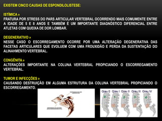 EXISTEM CINCO CAUSAS DE ESPONDILOLISTESE:
ISTÍMICA »
FRATURA POR STRESS DO PARS ARTICULAR VERTEBRAL OCORRENDO MAIS COMUMENTE ENTRE
A IDADE DE 5 E 8 ANOS E TAMBÉM É UM IMPORTANTE DIAGNÓSTICO DIFERENCIAL ENTRE
ATLETAS COM QUEIXA DE DOR LOMBAR.
DEGENERATIVO »
NESSE CASO O ESCORREGAMENTO OCORRE POR UMA ALTERAÇÃO DEGENERATIVA DAS
FACETAS ARTICULARES QUE EVOLUEM COM UMA FROUXIDÃO E PERDA DA SUSTENTAÇÃO DO
ALINAHMENTO VERTEBRAL.
CONGÊNITA »
ALTERAÇÕES IMPORTANTE NA COLUNA VERTEBRAL PROPICIANDO O ESCORREGAMENTO
VERTEBRAL.
TUMOR E INFECÇÕES »
CAUSANDO DESTRUIÇÃO EM ALGUMA ESTRUTURA DA COLUNA VERTEBRAL PROPICIANDO O
ESCORREGAMENTO.
 