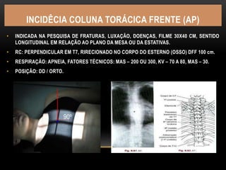 INCIDÊCIA COLUNA TORÁCICA FRENTE (AP)
• INDICADA NA PESQUISA DE FRATURAS, LUXAÇÃO, DOENÇAS, FILME 30X40 CM, SENTIDO
LONGITUDINAL EM RELAÇÃO AO PLANO DA MESA OU DA ESTATIVAS.
• RC: PERPENDICULAR EM T7, RIRECIONADO NO CORPO DO ESTERNO (OSSO) DFF 100 cm.
• RESPIRAÇÃO: APNEIA, FATORES TÉCNICOS: MAS – 200 OU 300, KV – 70 A 80, MAS – 30.
• POSIÇÃO: DD / ORTO.
 
