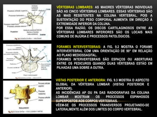 VÉRTEBRAS LOMBARES: AS MAIORES VÉRTEBRAS INDIVIDUAIS
SÃO AS CINCO VÉRTEBRAS LOMBARES. ESSAS VÉRTEBRAS SÃO
AS MAIS RESISTENTES NA COLUNA VERTEBRAL, POIS A
SUSTENTAÇÃO DO PESO CORPORAL AUMENTA EM DIREÇÃO À
EXTREMIDADE INFERIOR DA COLUNA.
POR ESSA RAZÃO, OS DISCOS CARTILAGINOSOS ENTRE AS
VÉRTEBRAS LOMBARES INFERIORES SÃO OS LOCAIS MAIS
COMUNS DE INJÚRIA E PROCESSOS PATOLÓGICOS.
FORAMES INTERVERTEBRAIS: A FIG. 9.2 MOSTRA O FORAME
INTERVERTEBRAL COM UMA ORIENTAÇÃO DE 90° EM RELAÇÃO
AO PLANO MEDIOSSAGITAL.
FORAMES INTERVERTEBRAIS SÃO ESPAÇOS OU ABERTURAS
ENTRE OS PEDICUROS QUANDO DUAS VÉRTEBRAS ESTÃO EM
PILHADAS UMA SOBRE A OUTRA.
VISTAS POSTERIOR E ANTERIORA: FIG. 9.3 MOSTRA O ASPECTO
GLOBAL DA VÉRTEBRA LOMBAR (VISTAS POSTERIOR E
ANTERIOR).
AS INCIDÊNCIAS AP OU PA DAS RADIOGRAFIAS DA COLUNA
LOMBAR MOSTRAM OS PROCESSOS ESPINHOSOS
SUPERPOSTOS AOS CORPOS VERTEBRAIS.
VÊEM-SE OS PROCESSOS TRANSVERSOS PROJETANDO-SE
LATERALMENTE ALÉM DOS LIMITES DO CORPO VERTEBRAL.
 