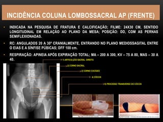 INCIDÊNCIA COLUNA LOMBOSSACRAL AP (FRENTE)
• INDICADA NA PESQUISA DE FRATURA E CALCIFICAÇÃO; FILME: 24X30 CM, SENTIDO
LONGITUDINAL EM RELAÇÃO AO PLANO DA MESA; POSIÇÃO: DD, COM AS PERNAS
SEMIFLEXIONADAS.
• RC: ANGULADOS 20 A 30º CRANIALMENTE, ENTRANDO NO PLANO MEDIOSSAGITAL ENTRE
O EIAS E A SÍNFISE PÚBICAS; DFF 100 cm.
• RESPIRAÇÃO: APINEIA APÓS EXPIRAÇÃO TOTAL; MA – 200 A 300, KV – 75 A 80, MAS – 30 A
40. 1) ARTICULÇÃO SACRAL DIREITA
2) CORNO SACRAL
3) CORNO COCÍGEO
4) CÓCCIX
5) PROCESSO TRANSVERSO DO CÓCCIX
 