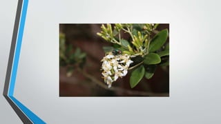 Equipment and resources