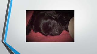 Equipment and resources