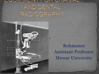 Rukmanee
Assistant Professor
Mewar University
 