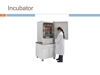 Incubator
8
 