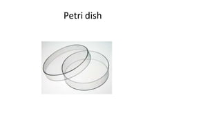 Petri dish
 