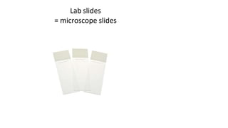 Lab slides
= microscope slides
 
