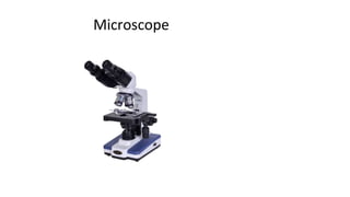 Microscope
 