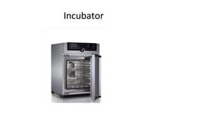 Incubator
 