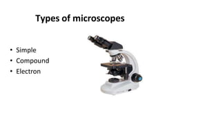 Types of microscopes
• Simple
• Compound
• Electron
 