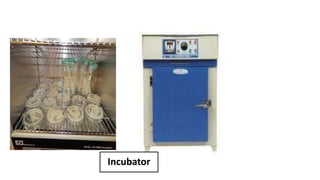Incubator
 