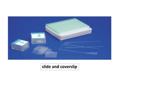 slide and coverslip
 