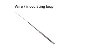 Wire / inoculating loop
 