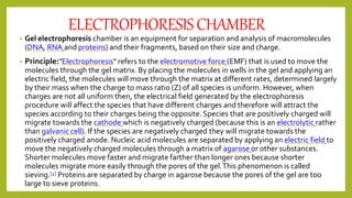 ELECTROPHORESISCHAMBER
• Gel electrophoresis chamber is an equipment for separation and analysis of macromolecules
(DNA, RNA and proteins) and their fragments, based on their size and charge.
• Principle:"Electrophoresis" refers to the electromotive force (EMF) that is used to move the
molecules through the gel matrix. By placing the molecules in wells in the gel and applying an
electric field, the molecules will move through the matrix at different rates, determined largely
by their mass when the charge to mass ratio (Z) of all species is uniform. However, when
charges are not all uniform then, the electrical field generated by the electrophoresis
procedure will affect the species that have different charges and therefore will attract the
species according to their charges being the opposite.Species that are positively charged will
migrate towards the cathode which is negatively charged (because this is an electrolytic rather
than galvanic cell). If the species are negatively charged they will migrate towards the
positively charged anode. Nucleic acid molecules are separated by applying an electric field to
move the negatively charged molecules through a matrix of agarose or other substances.
Shorter molecules move faster and migrate farther than longer ones because shorter
molecules migrate more easily through the pores of the gel.This phenomenon is called
sieving.[2] Proteins are separated by charge in agarose because the pores of the gel are too
large to sieve proteins.
 