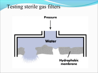 Testing sterile gas filters
 