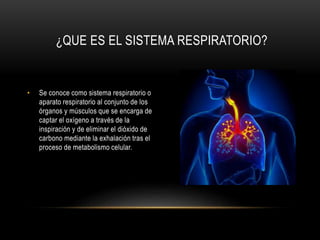 ¿QUE ES EL SISTEMA RESPIRATORIO?
• Se conoce como sistema respiratorio o
aparato respiratorio al conjunto de los
órganos y músculos que se encarga de
captar el oxígeno a través de la
inspiración y de eliminar el dióxido de
carbono mediante la exhalación tras el
proceso de metabolismo celular.
 