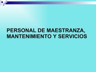 PERSONAL DE MAESTRANZA, MANTENIMIENTO Y SERVICIOS 