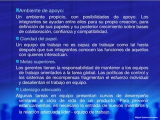 Miguel Espinoza Ruestas.