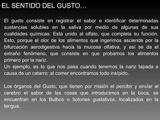 El gusto consiste en registrar el sabor e identificar determinadas sustancias solubles en la saliva por medio de algunas de sus cualidades químicas. Está unido al olfato, que completa su función. Esto, porque el olor de los alimentos que ingerimos asciende por la bifurcación aerodigestiva hacia la mucosa olfativa, y así se da el extraño fenómeno, que consiste en que probamos los alimentos primero por la nariz.  Un ejemplo, es lo que nos pasa cuando tenemos la nariz tapada a causa de un catarro: al comer encontramos todo insípido. Los órganos del Gusto, que tienen por misión el percibir y enviar al cerebro el sabor de las cosas que introducimos en la boca, se encuentran en los Bulbos o botones gustativos, localizados en la lengua. EL SENTIDO DEL GUSTO… 