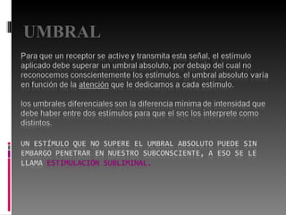 UMBRAL 