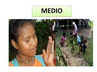 MEDIO
 