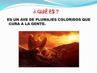 ¿ QUÉ ES ?
ES UN AVE DE PLUMAJES COLORIDOS QUE
 CURA A LA GENTE.
 