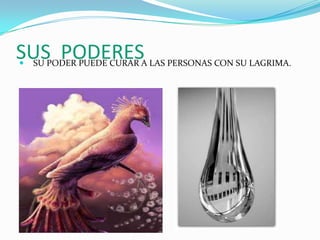 SUSPODER PUEDE CURAR A LAS PERSONAS CON SU LAGRIMA.
SU
     PODERES
 