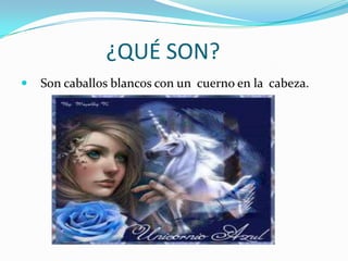 ¿QUÉ SON?
   Son caballos blancos con un cuerno en la cabeza.
 