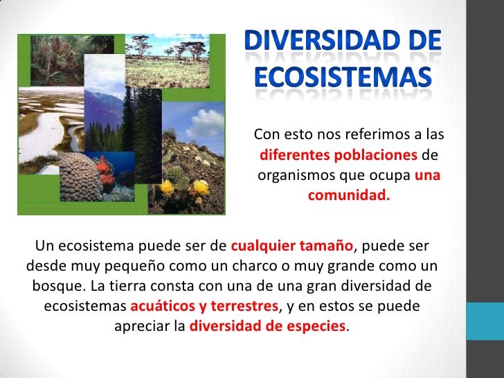 Diversidad de Ecosistemas