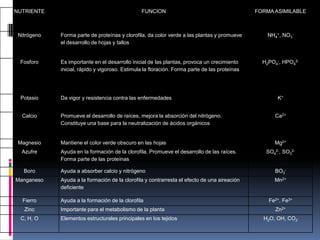 NUTRIENTE FUNCION FORMA ASIMILABLE
Nitrógeno Forma parte de proteínas y clorofila, da color verde a las plantas y promueve
el desarrollo de hojas y tallos
NH4
+, NO3
-
Fosforo Es importante en el desarrollo inicial de las plantas, provoca un crecimiento
inicial, rápido y vigoroso. Estimula la floración. Forma parte de las proteínas
H2PO4
-, HPO4
2-
Potasio Da vigor y resistencia contra las enfermedades K+
Calcio Promueve el desarrollo de raíces, mejora la absorción del nitrógeno.
Constituye una base para la neutralización de ácidos orgánicos
Ca2+
Magnesio Mantiene el color verde obscuro en las hojas Mg2+
Azufre Ayuda en la formación de la clorofila. Promueve el desarrollo de las raíces.
Forma parte de las proteínas
SO4
2-, SO3
2-
Boro Ayuda a absorber calcio y nitrógeno BO3
-
Manganeso Ayuda a la formación de la clorofila y contrarresta el efecto de una aireación
deficiente
Mn2+
Fierro Ayuda a la formación de la clorofila Fe2+, Fe3+
Zinc Importante para el metabolismo de la planta Zn2+
C, H, O Elementos estructurales principales en los tejidos H2O, OH, CO2
 
