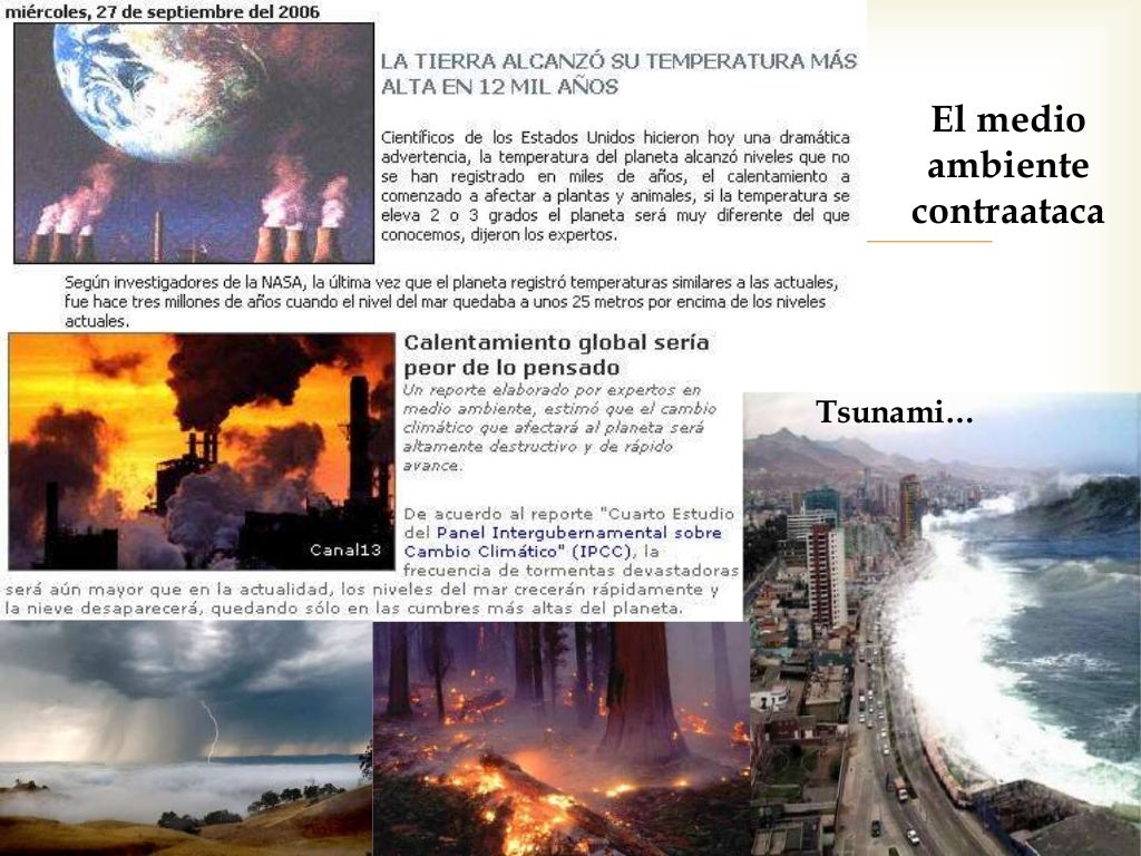 El respeto al medio ambiente El respeto al medio ambiente