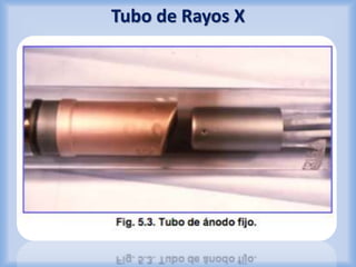Tubo de Rayos X 
 