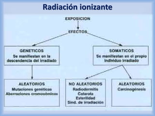 Radiación ionizante 
 