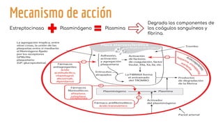 Mecanismo de acción
Estreptocinasa Plasminógeno Plasmina
Degrada los componentes de
los coágulos sanguíneos y
ﬁbrina.
Estreptocinasa
 