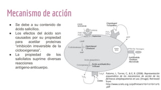 Mecanismo de acción
Palomo, I., Torres, C., & E, R. (2008). Representación
esquemática de los mecanismos de acción de los
fármacos antiplaquetarios en uso. [Image]. Retrieved
from
http://www.scielo.org.co/pdf/vitae/v16n1/v16n1a16
.pdf
● Se debe a su contenido de
ácido salicílico.
● Los efectos del ácido son
causados por su propiedad
para acetilar proteínas
“inhibición irreversible de la
ciclooxigenasa”.
● La propiedad de los
salicilatos suprime diversas
reacciones
antígeno-anticuerpo.
 