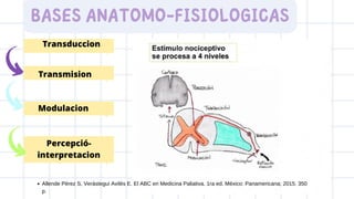 BASES ANATOMO-FISIOLOGICAS
Transduccion
Transmision
Modulacion
Percepció-
interpretacion
Allende Pérez S, Verástegui Avilés E. El ABC en Medicina Paliativa. 1ra ed. México: Panamericana; 2015. 350
p.
 