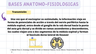 Una vez que el nociceptor es estimulado, la información viaja en
forma de potenciales de acción a través del nervio periférico hasta la
médula espinal, entra desde el ganglio de la raíz dorsal hacia la punta
del asta gris dorsal y se divide en ramas ascendentes y descendentes,
los cuales viajan uno o dos segmentos de la médula espinal y forman
el fascículo dorso lateral de lissauer
BASES ANATOMO-FISIOLOGICAS
Transmisión
Allende Pérez S, Verástegui Avilés E. El ABC en Medicina Paliativa. 1ra ed. México: Panamericana; 2015. 350
p.
 