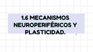 1.6 MECANISMOS
NEUROPERIFÉRICOS Y
PLASTICIDAD.
1.6 MECANISMOS
NEUROPERIFÉRICOS Y
PLASTICIDAD.
 