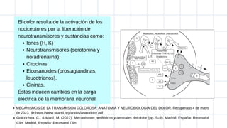 Iones (H, K)
Neurotransmisores (serotonina y
noradrenalina).
Citocinas.
Eicosanoides (prostaglandinas,
leucotrienos).
Cininas.
El dolor resulta de la activación de los
nociceptores por la liberación de
neurotransmisores y sustancias como:
Éstos inducen cambios en la carga
eléctrica de la membrana neuronal.
MECANISMOS DE LA TRANSMISION DOLOROSA: ANATOMIA Y NEUROBIOLOGIA DEL DOLOR. Recuperado 4 de mayo
de 2023, de https://www.scartd.org/arxius/anatodolor.pdf
Goicochea, C., & Martí, M. (2022). Mecanismos periféricos y centrales del dolor (pp. 5–9). Madrid, España: Reumatol
Clin. Madrid, España: Reumatol Clin.
 