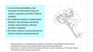 La neurona postsináptica, que
transmite la información hacia los
centros superiores del SNC (Talamo,
cerebro).
En el talamo existen 2 componentes
distintos: discriminativo-sensorial
(núcleo ventro-basal) y afectivo
(núcleos mediales).
De estos nucleos se da proyecciones
hacia la corteza somatosensorial.
MECANISMOS DE LA TRANSMISION DOLOROSA: ANATOMIA Y NEUROBIOLOGIA DEL DOLOR.
Recuperado 4 de mayo de 2023, de https://www.scartd.org/arxius/anatodolor.pdf
Goicochea, C., & Martí, M. (2022). Mecanismos periféricos y centrales del dolor (pp. 5–9). Madrid, España:
Reumatol Clin. Madrid, España: Reumatol Clin.
 