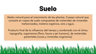 Suelo
Medio natural para el crecimiento de las plantas. Cuerpo natural que
consiste en capas de suelo compuestas de materiales de minerales
meteorizados, materia orgánica, aire y agua.
Producto final de la influencia del tiempo y combinado con el clima,
topografía, organismos (flora, fauna y ser humano), de materiales
parentales (rocas y minerales originarios)
 