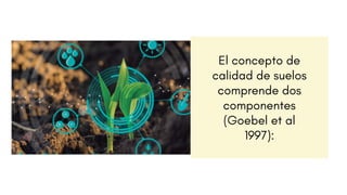 El concepto de
calidad de suelos
comprende dos
componentes
(Goebel et al
1997):
 