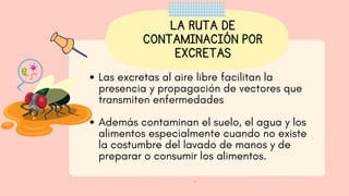 LA RUTA DE
CONTAMINACIÓN POR
EXCRETAS
Las excretas al aire libre facilitan la
presencia y propagación de vectores que
transmiten enfermedades 
Además contaminan el suelo, el agua y los
alimentos especialmente cuando no existe
la costumbre del lavado de manos y de
preparar o consumir los alimentos.
.
 